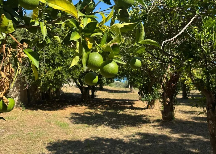 Feriehus Casale Mariella Sulla Costa Dei Trabocchi *